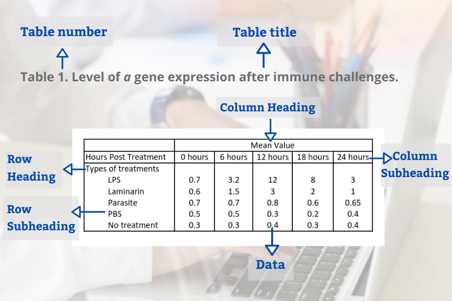 how to write about results in a research paper